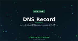 dns-record-data-point-guide