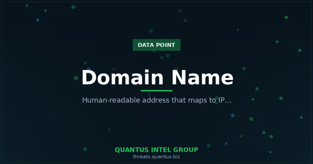 domain-name-data-point-guide
