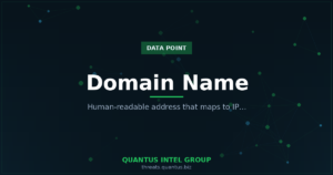 domain-name-data-point-guide