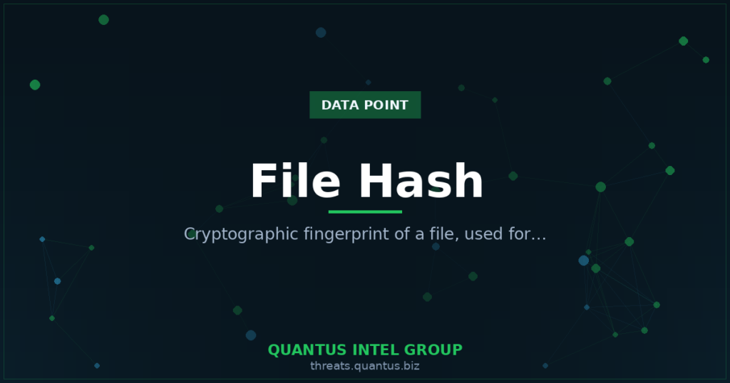 file-hash-data-point-guide