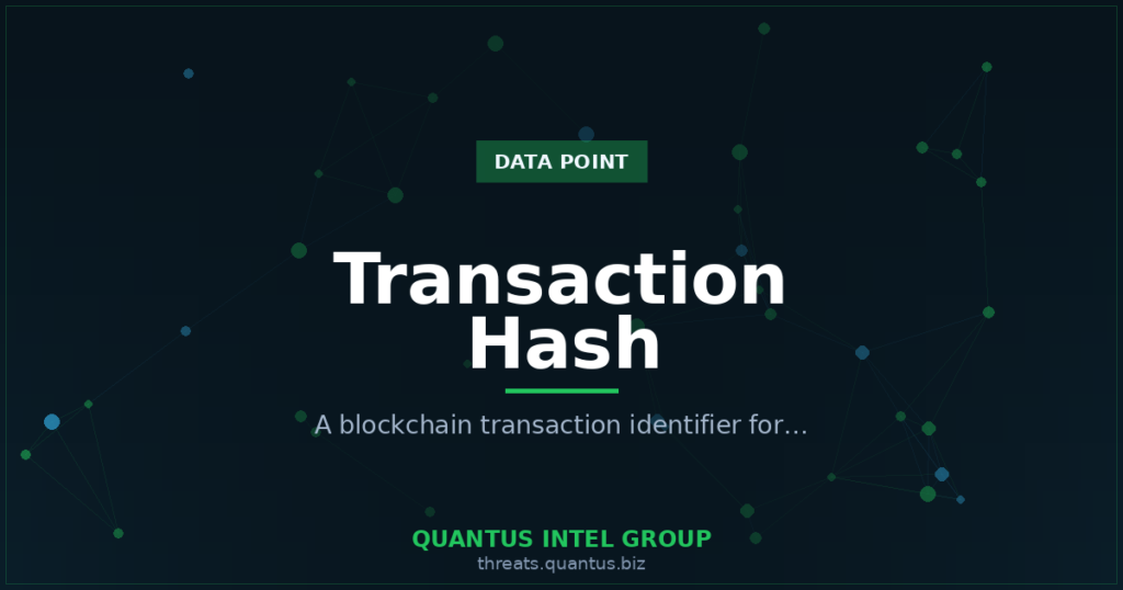 transaction-hash-data-point-guide