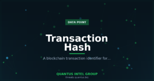 transaction-hash-data-point-guide