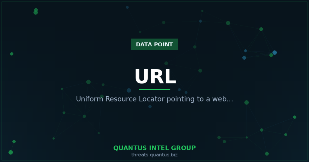 url-data-point-guide