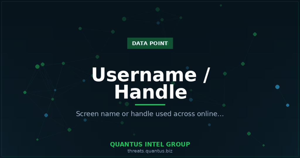 username-handle-data-point-guide